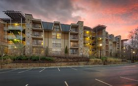 The Residences At Biltmore - Asheville